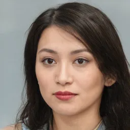 Trần Mạnh Dũng avatar